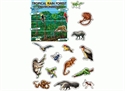 Picture of Tropical Rainforest Environment Display Set