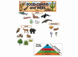 Picture of Food Chains and Webs Display Set
