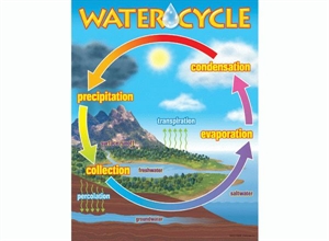 Picture of Water Cycle Learning Chart