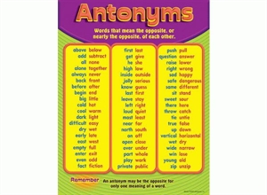 Picture of Antonyms Learning Chart