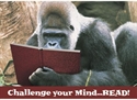 Picture of Challenge Your Mind Motivational Chart