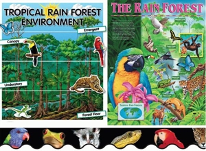 Rainforest Topic Pack