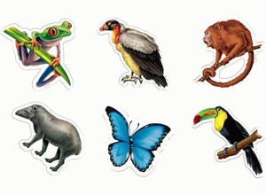 Picture of Rainforest Animal Cut-outs
