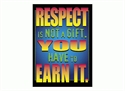 Picture of Respect is Not a Gift Learning Chart
