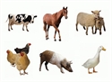 Picture of Farm Animals Cut-outs
