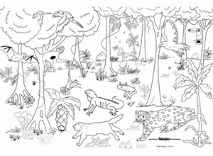 Picture of Rainforest Learning Wall