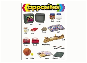 Picture of Opposites Learning Chart