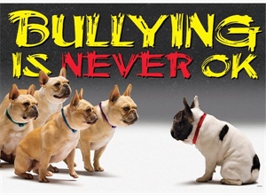 Picture of Bullying is Never Ok Motivational Chart