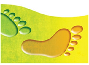 Picture of Colourblend Footprints Border