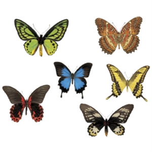 Picture of Butterflies Cut-outs