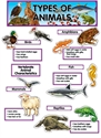Picture for category Animal Classifications
