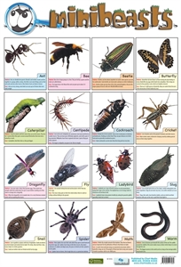 Picture of Mini Beasts Learning Chart