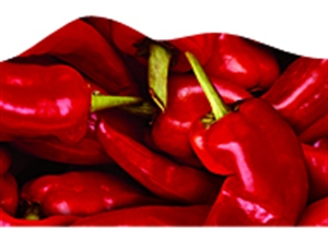 Picture of Chilli Peppers Discovery Border