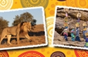 Picture of Africa Postcards Photo Border