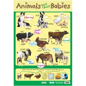 Picture of Animals and their Babies Learning Chart