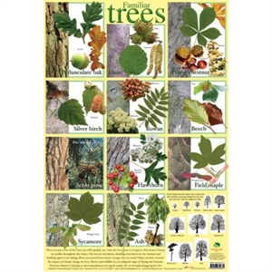 Picture of Familiar Trees Learning Chart