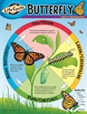Picture of Life Cycle of a Butterfly Learning Chart
