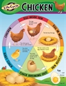 Picture of Life Cycle of a Chicken Learning Chart